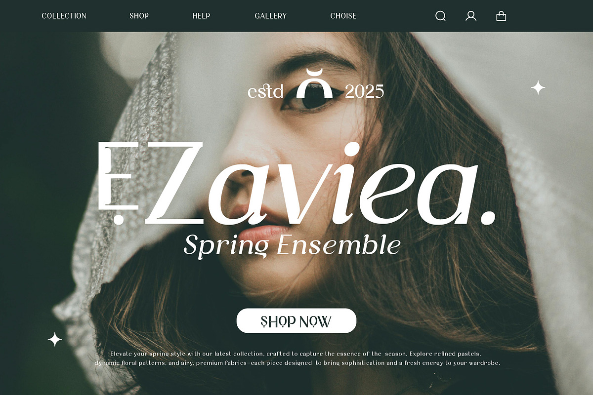 Aturia — High-contrast sans serif, a Sans Serif Font by Nollev (Photo 10 of 12)