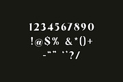 Aluvion Display Modern Serif Font, a Serif Font by UICreative (Thumbnail 8 of 12)