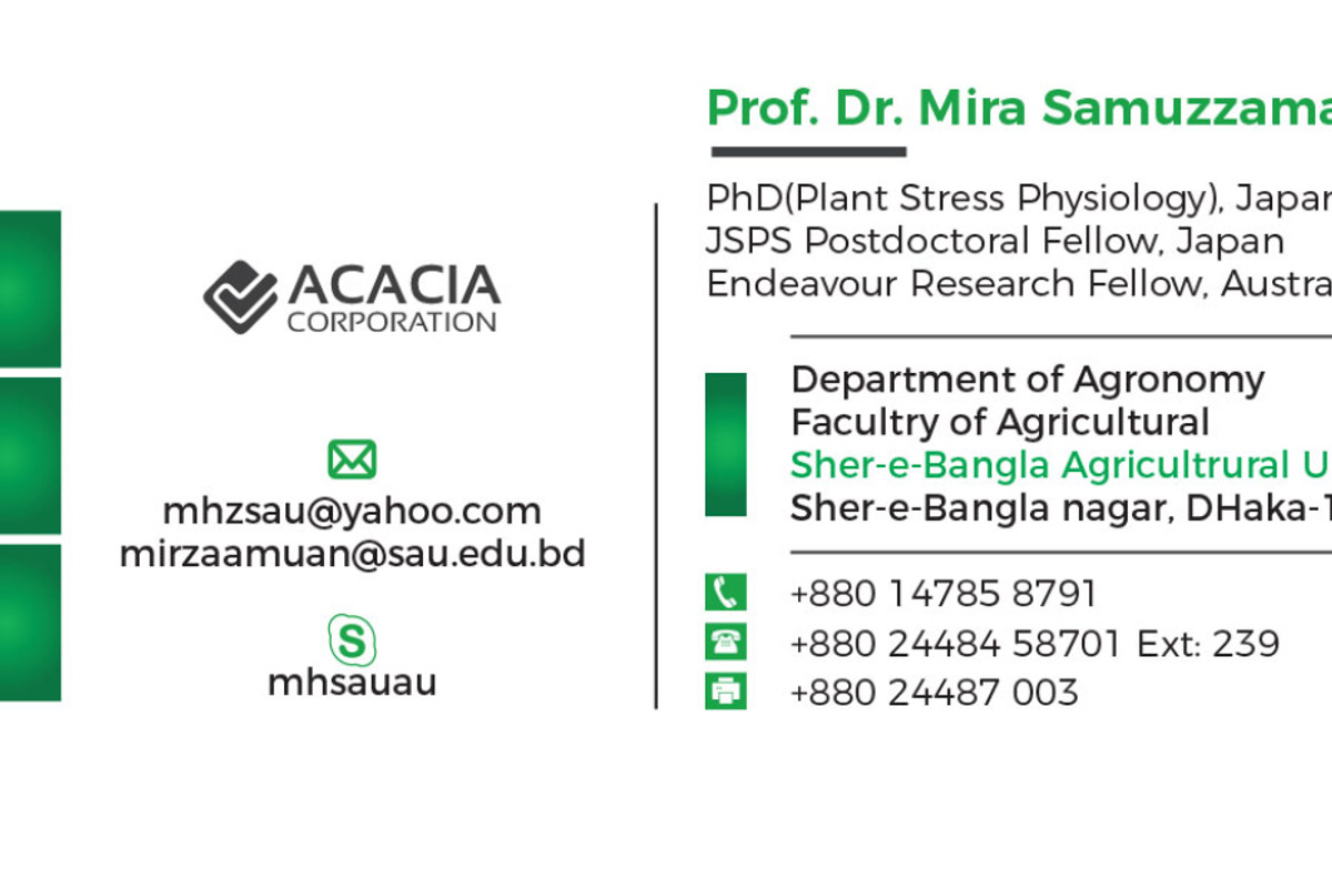 Personal Business Card, a Business Card Template by DesignGhar (Photo 4 of 4)