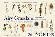 Botanical PNG Elements – 36 Meadow P, an Object Graphic by Aga Silva (Thumbnail 1 of 28)