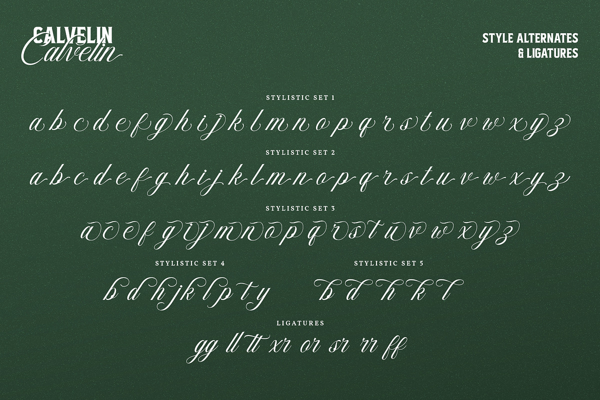 Calvelin, a Serif Font by din-studio.com (Photo 7 of 10)