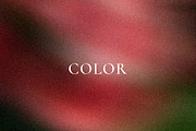 Garden Haze - Blurry Backgrounds, a Background Graphic by Dina Mae (Thumbnail 6 of 14)