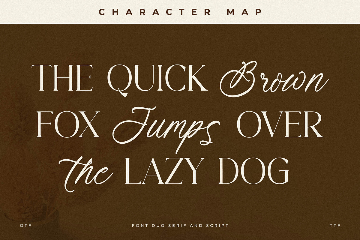 Primrose Essentials Font Duo, a Serif Font by Storytype Studio (Photo 2 of 15)