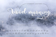 Winter Story Font & Extras, a Script Font by Red Ink (Thumbnail 6 of 11)