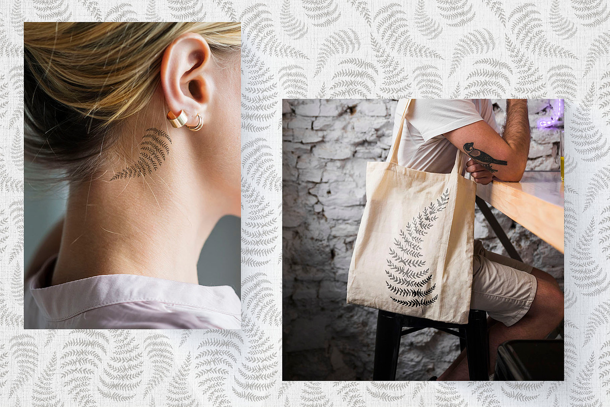 Fern. Line art sketch and patterns, a Decorative Illustration by Canatic (Photo 3 of 6)