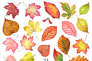 Autumn leaves watercolor clipart, a Background Graphic by Watercolor Clipart (Thumbnail 2 of 4)