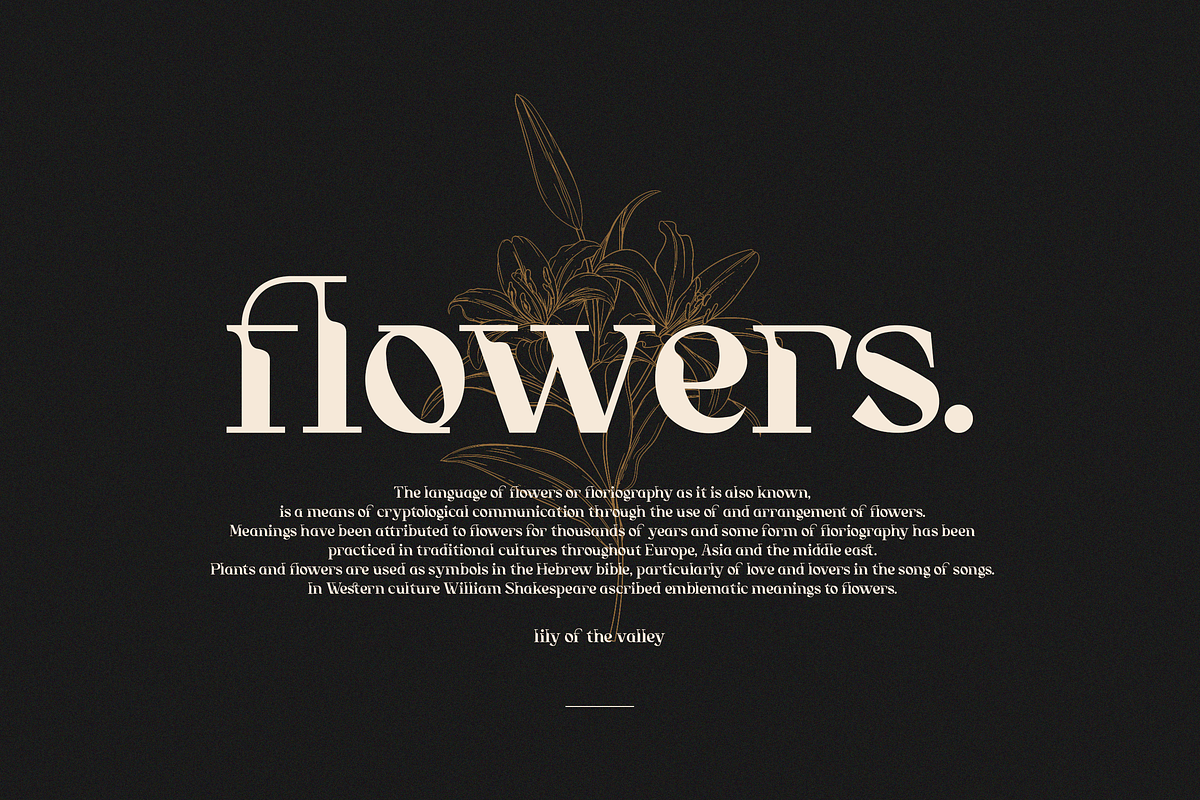 Tittowest Modern - Vintage Typeface, a Slab Serif Font by Haksen (Photo 6 of 12)