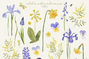 Spring Garden Illustration & Pattern, a Decorative Illustration by OkPen (Thumbnail 2 of 10)