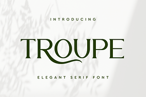 Troupe Premium Serif Font