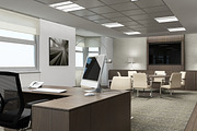 Executive Director Office, an Animal 3D Model by Giimann (Thumbnail 6 of 9)