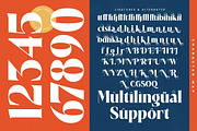 Royale Marigo Modern Serif Font, a Serif Font by timelesstype.co (Thumbnail 18 of 20)