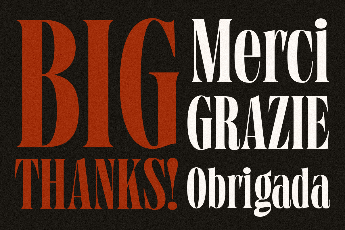 Grischel Condensed Serif Display, a Serif Font by Martype (Photo 9 of 9)