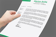Professional Resume / CV Template, a Resume Template by designvillage (Thumbnail 2 of 11)