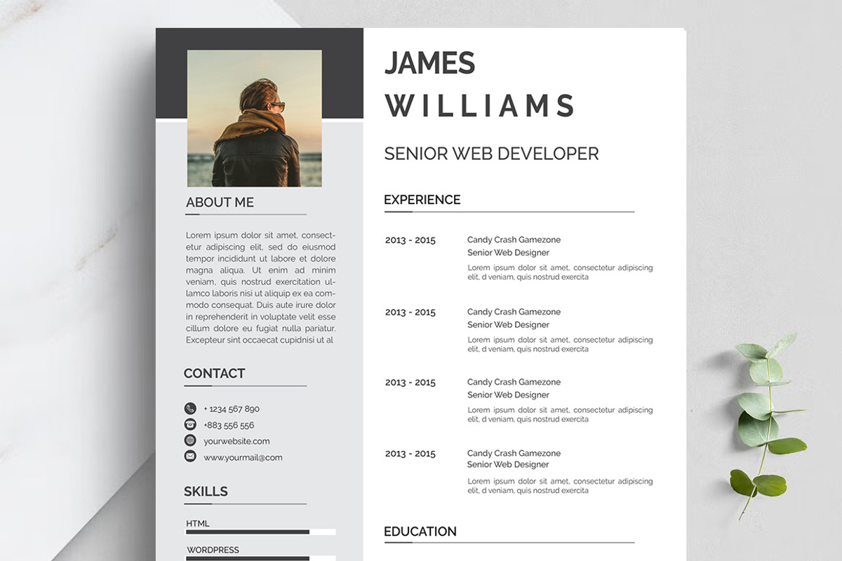 Professional Resume CV Template, a Resume Template by Blackcloud_Creations (Photo 3 of 8)