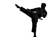 Dynamic martial arts kick silhouette, a Graphic by Amazin_art (Thumbnail 7 of 36)