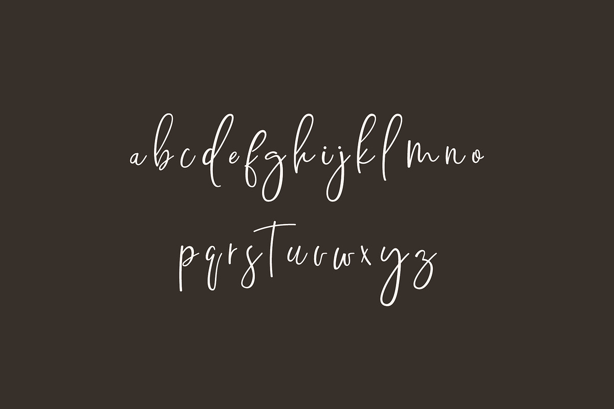 Diantha Wocasta Handwritten Font, a Handwritten Font by UICreative (Photo 5 of 11)
