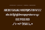 Mogcha Weproba - Serif & Modern Font, a Serif Font by QR Design Studio (Thumbnail 5 of 6)