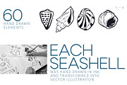 Seashells Hand drawn vector elements, a Seasonal Illustration by Lena Nikolaeva (Thumbnail 3 of 14)