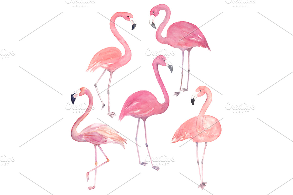 Watercolor Flamingo Set, an Object Graphic by Natikka Art