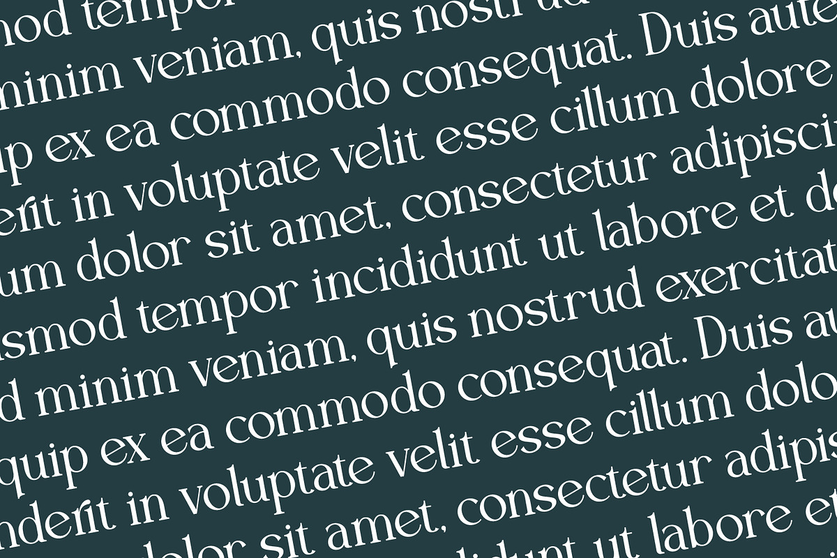 Eclarish - Serif Typeface Font, a Serif Font by Rishsketch (Photo 8 of 15)