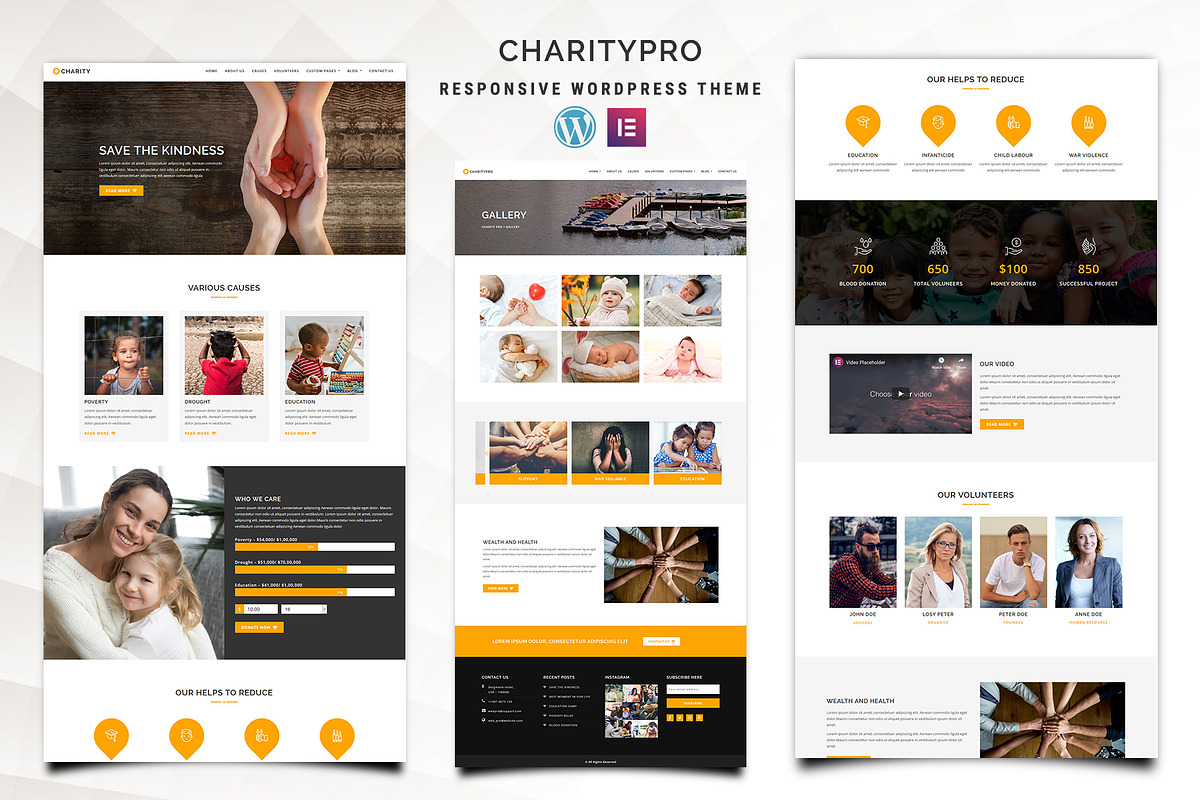 Charitypro – Charity WordPress Theme, a WordPress Template by Pennyblack Templates (Photo 1 of 3)