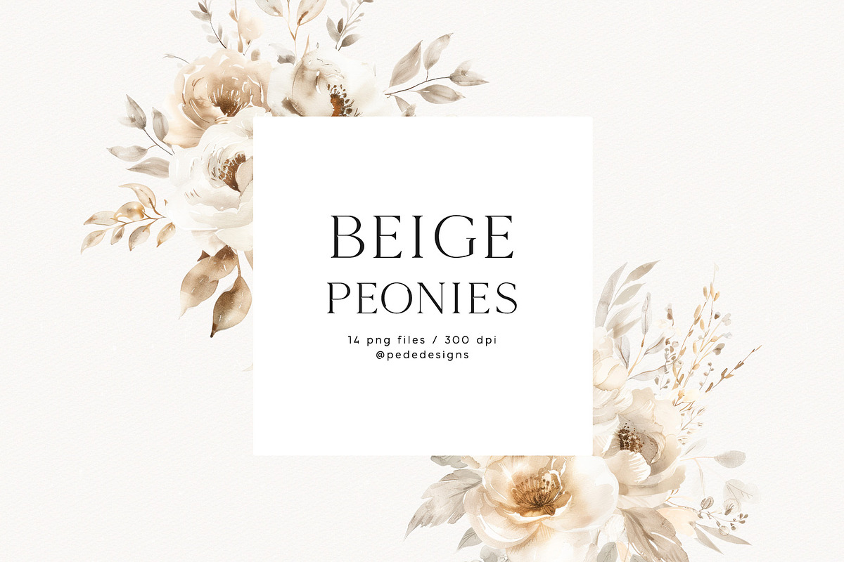 Beige Peonies, a Decorative Illustration by PeDe Designs (Photo 3 of 9)