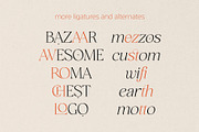 San de More Stylish Classy Serif, a Serif Font by Kereatype (Thumbnail 13 of 15)