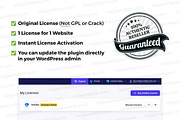 Amelia Pro Official License, a WordPress Template by Ninja On Deck (Thumbnail 2 of 2)