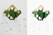 30 BRIGHT LIGHTROOM PRESETS, a Preset Add-On by Victoria Bee Presets (Thumbnail 8 of 24)