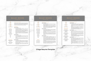 CV Template/Resume - Bailey