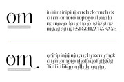Chaviera Pro Family, a Sans Serif Font by INKSUN™ (Thumbnail 11 of 12)