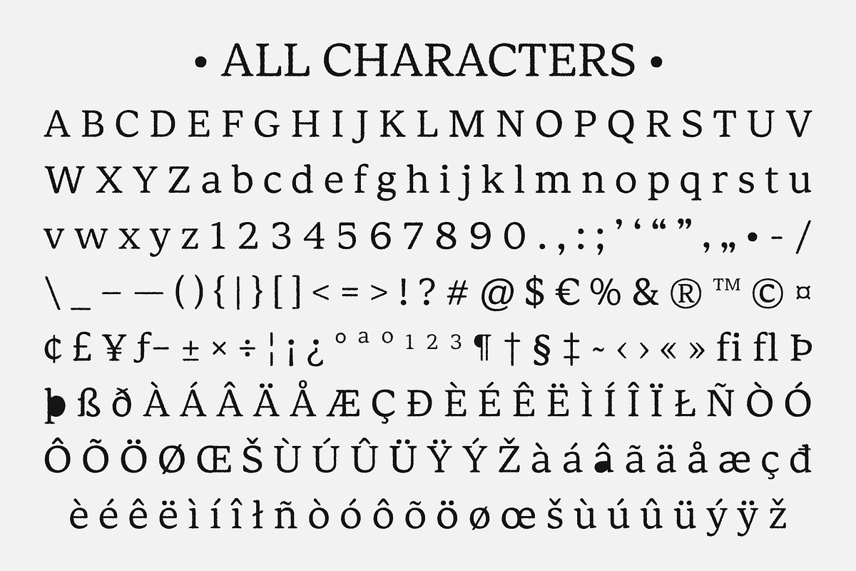 Matina Rounded Rough, a Serif Font by Craft Supply Co. (Photo 8 of 9)