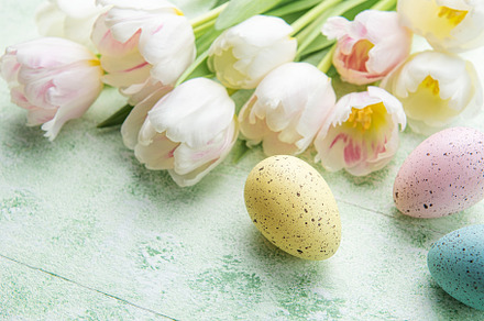 Easter eggs painted pastel colors and pink tulips on a green wo, a Holiday Photo by Olena Rudo