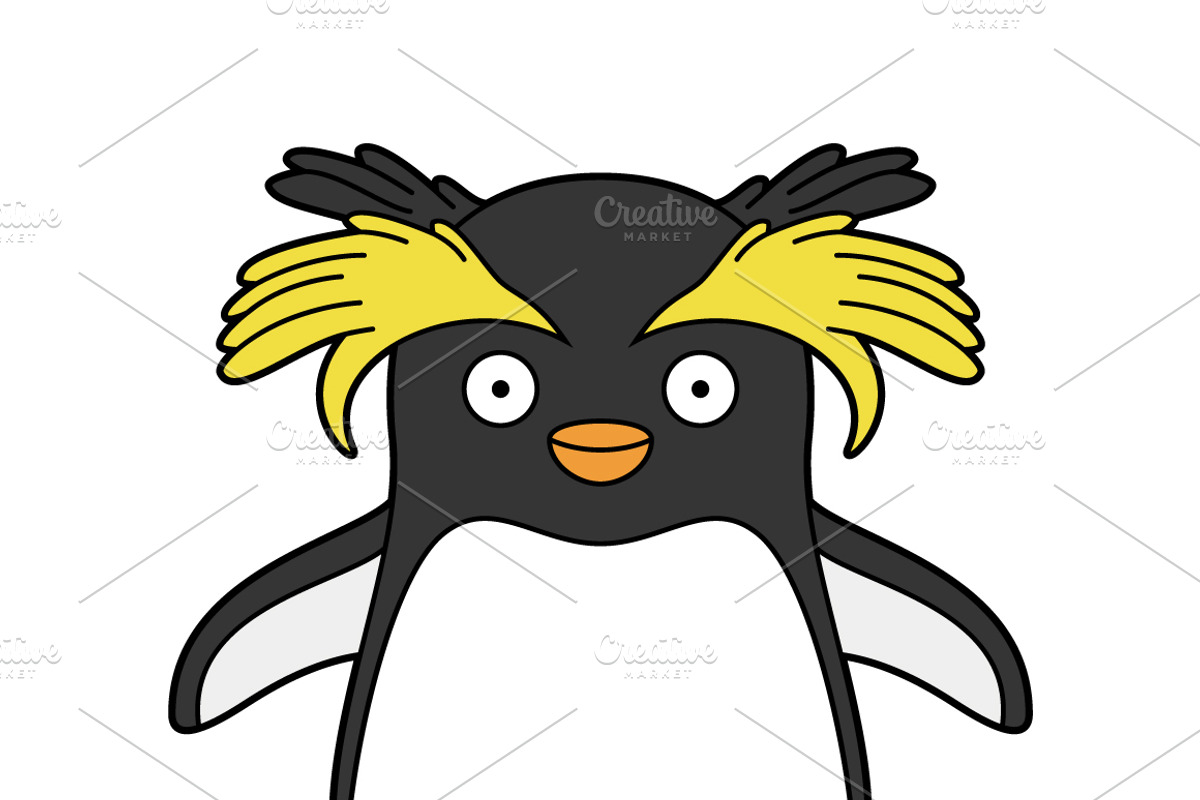 16x Arctic and Antarctic Animals, an Animal Illustration by asantosg (Photo 8 of 8)