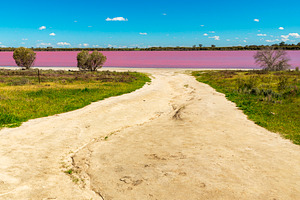 Pink Lake Dimboola Victoria, a Nature Photo by THP Creative