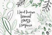 Hand Drawn Botanical Leafy Graphics, a Decorative Illustration by MontgomeryFest (Thumbnail 1 of 4)