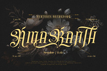 Rain Money Typeface