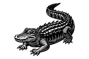Alligator, an Illustration by Mark1987