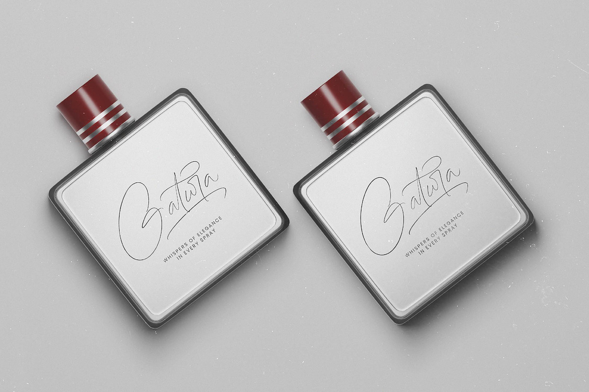Ambigail Jonathan Stylish Signature, a Script Font by stylishtype.co (Photo 4 of 20)