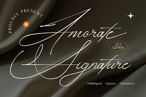 Amorate Signature - Script Font, a Script Font by Lettermine