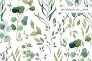Herbal watercolor collection, a Pattern Graphic by HannaStudio (Thumbnail 5 of 8)