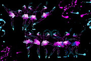 neon ballerinas !, an Illustration by art_mouse (Thumbnail 2 of 2)