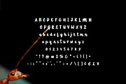 Lost Ant - Handwritten Script Font, a Script Font by Mightyfire (Thumbnail 4 of 4)