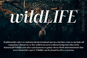 British Classical - Display Serif, a Serif Font by TypeClassHeroes (Thumbnail 9 of 15)