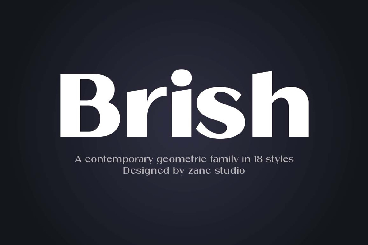 Brish, a Sans Serif Font by Zane Studio (Photo 1 of 11)