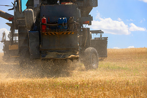 Close-up rear view of a combine harvester spreading straw and du, an Industrial Photo by Ales Munt