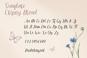 Sunflare Crispy Bread, a Script Font by BearyType Studio (Thumbnail 8 of 8)