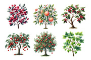 Watercolor Fruit Trees Clipart, an Icon by Daily.Designs (Thumbnail 2 of 4)