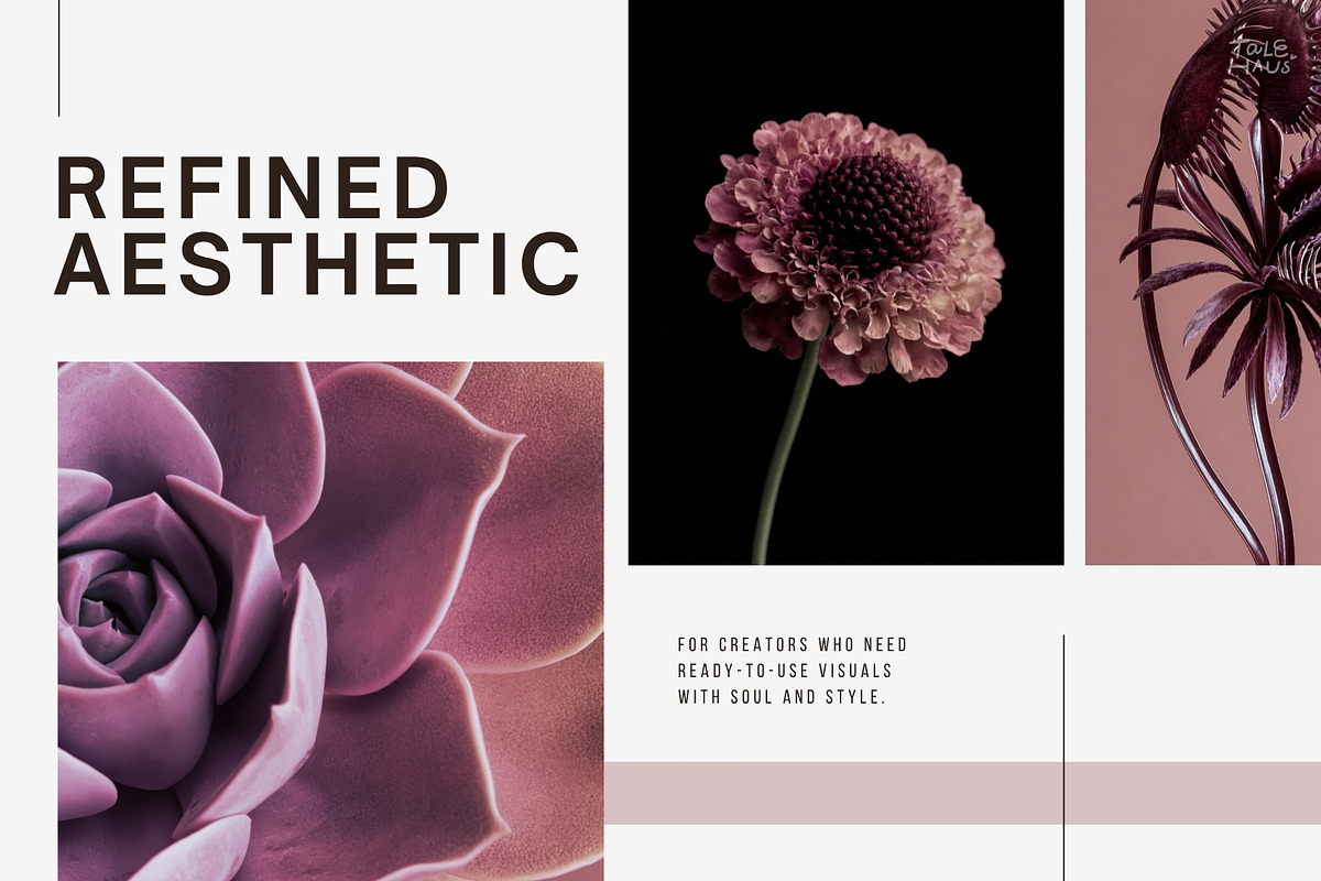 Dark Floral & Mineral Stock Photos, a Nature Photo by Tale.Haus (Photo 10 of 17)