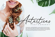 Das Pines - Modern Calligraphy, a Script Font by VUNIRA (Thumbnail 4 of 6)